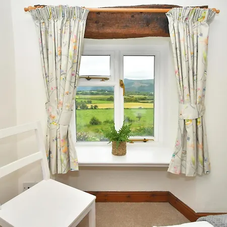 Osprey * Bassenthwaite