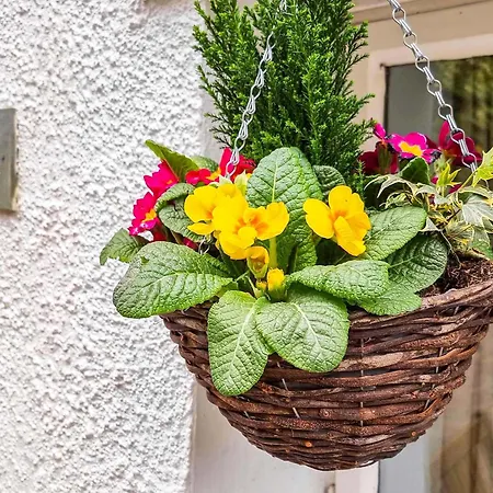 Osprey Holiday home *