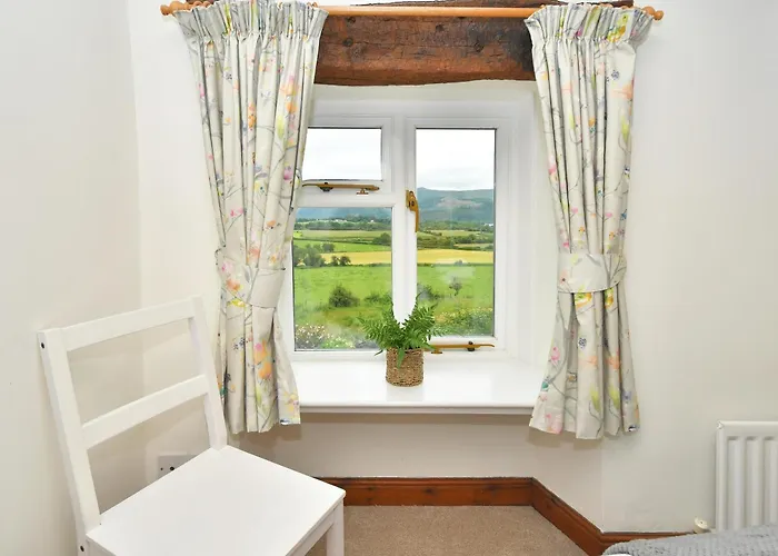 Osprey * Bassenthwaite