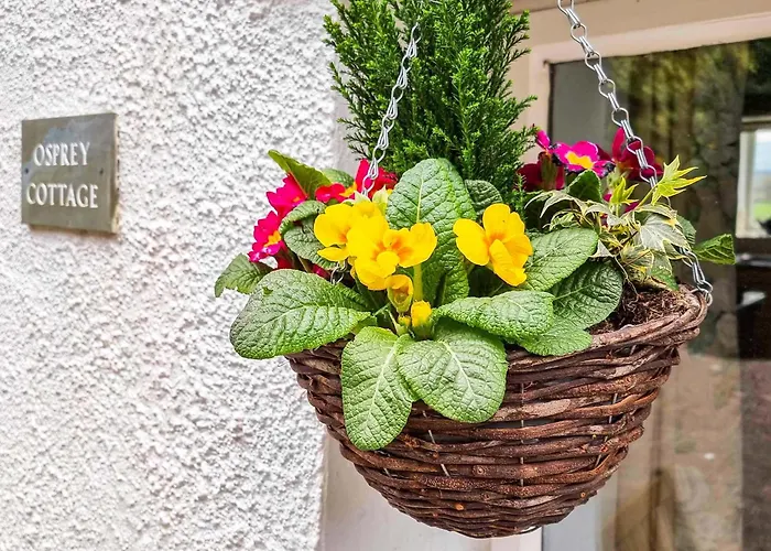 Osprey Holiday home *