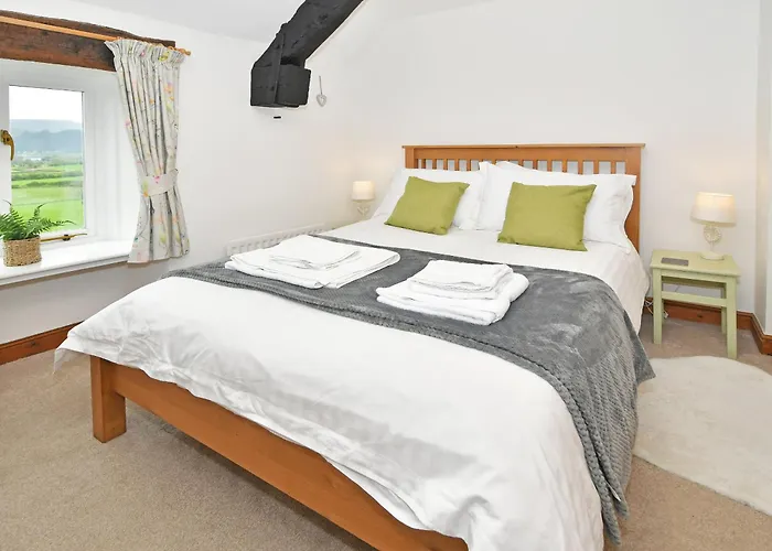 Osprey Bassenthwaite