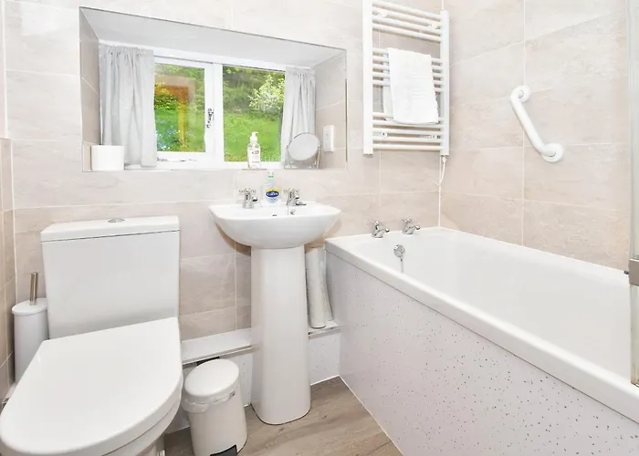 Osprey * Bassenthwaite