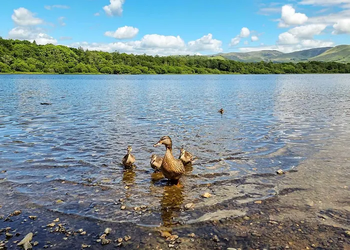 Osprey Holiday home Bassenthwaite