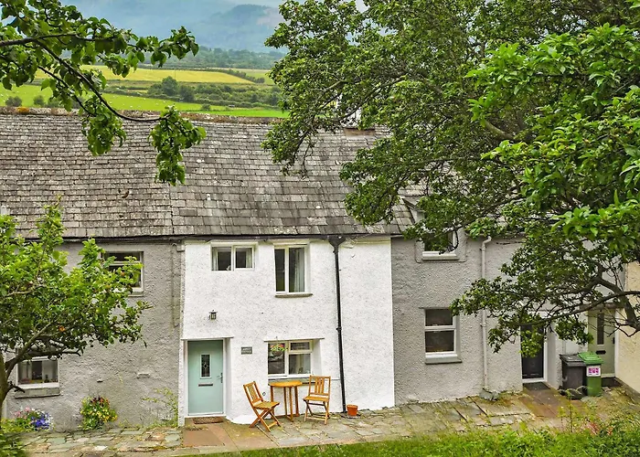 Osprey * Bassenthwaite